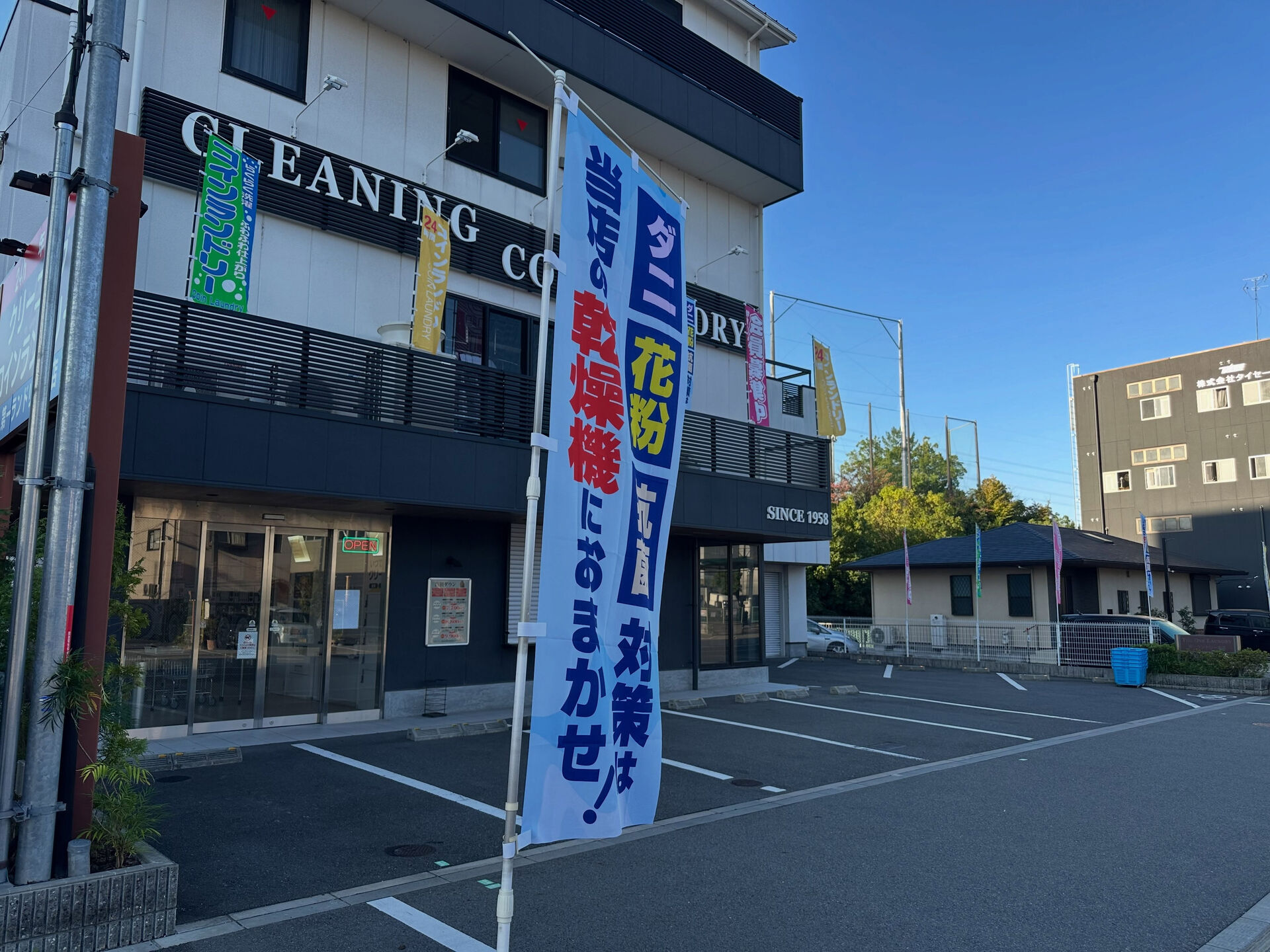 三連休にぴったりのお天気ですね☀️洗濯物も気持ちよく乾きます
