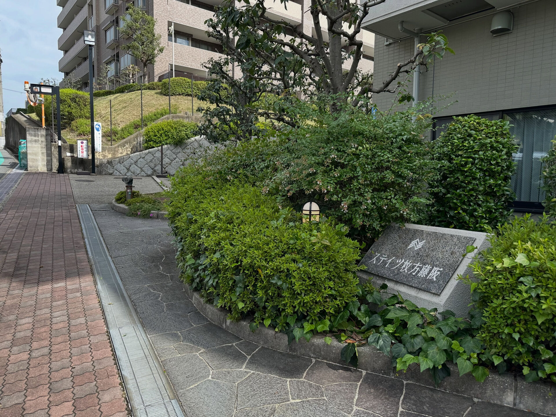予報に反して今日は晴れ🌞配達日和です！今日は藤阪や長尾駅周辺